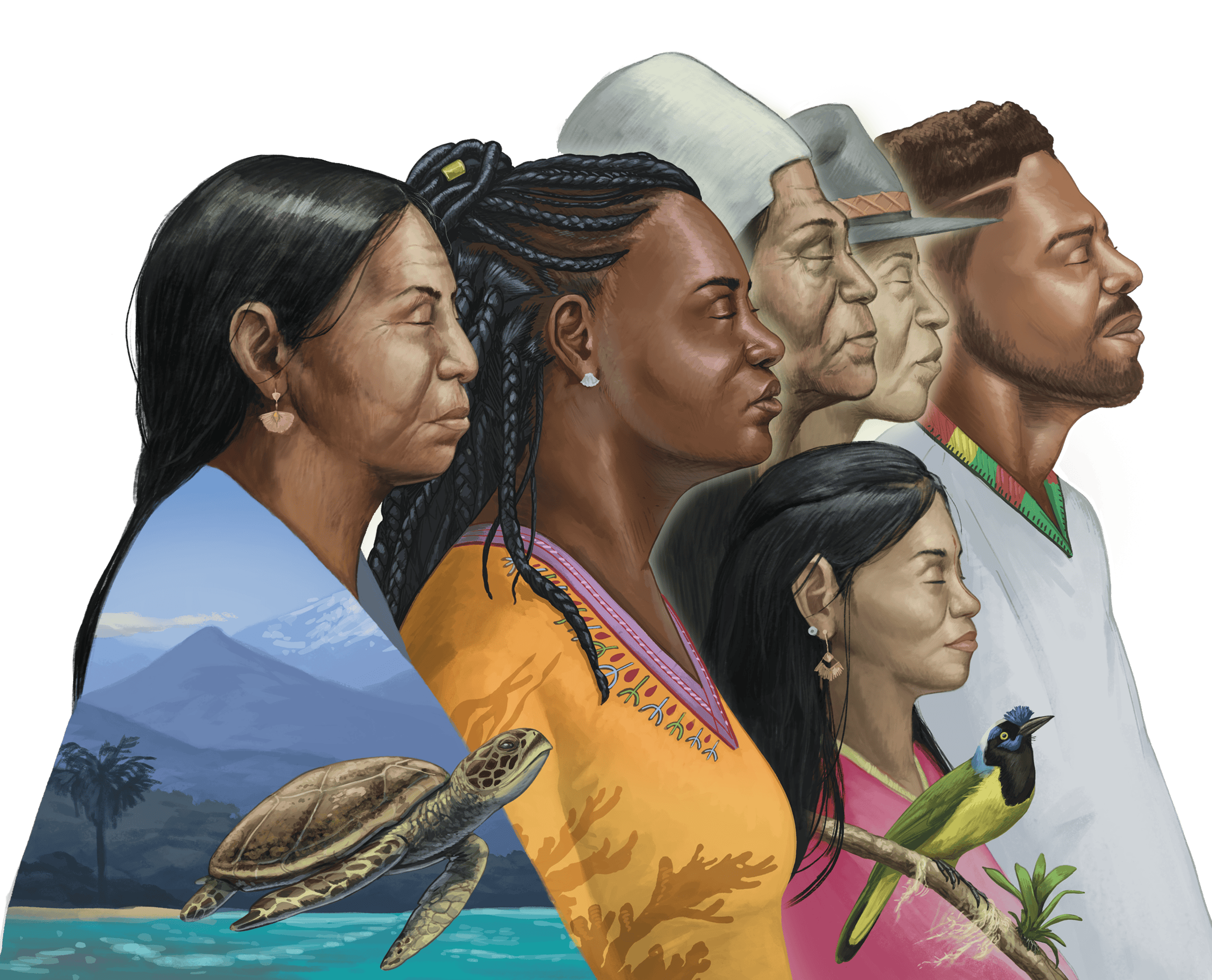 Ilustración: Juan Felipe Martínez